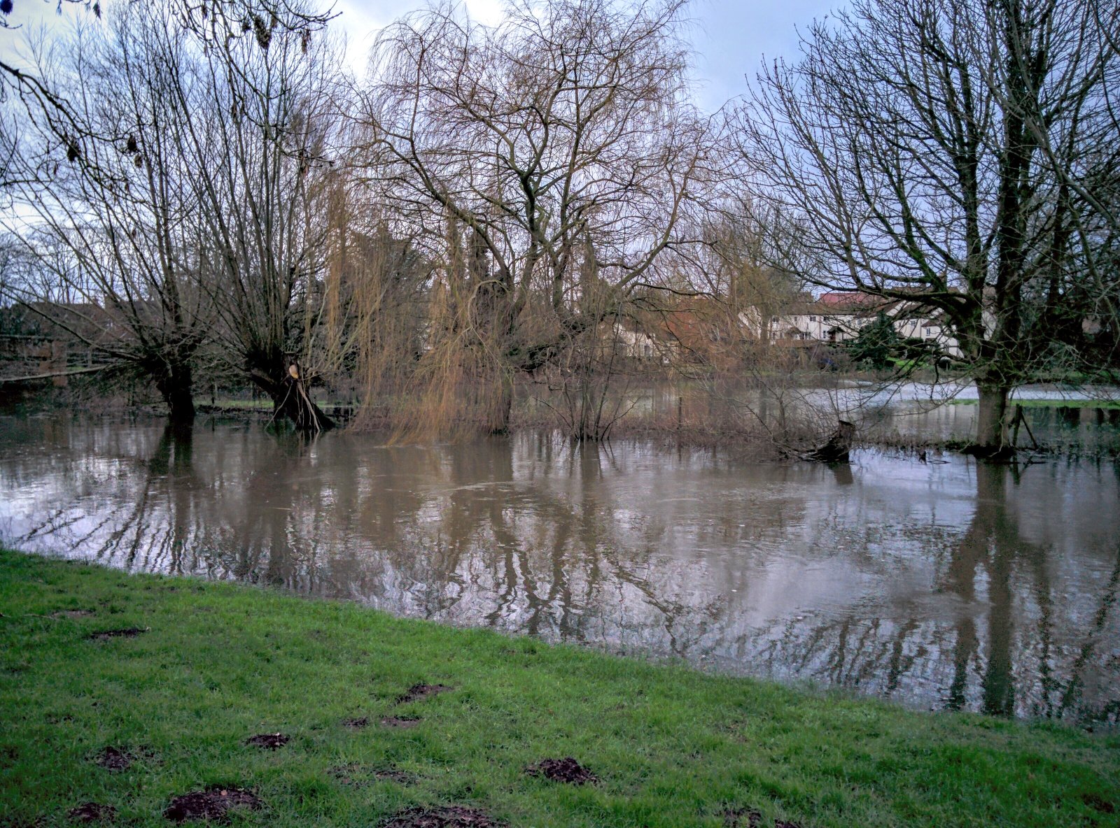 January 2016 Floods on the Green