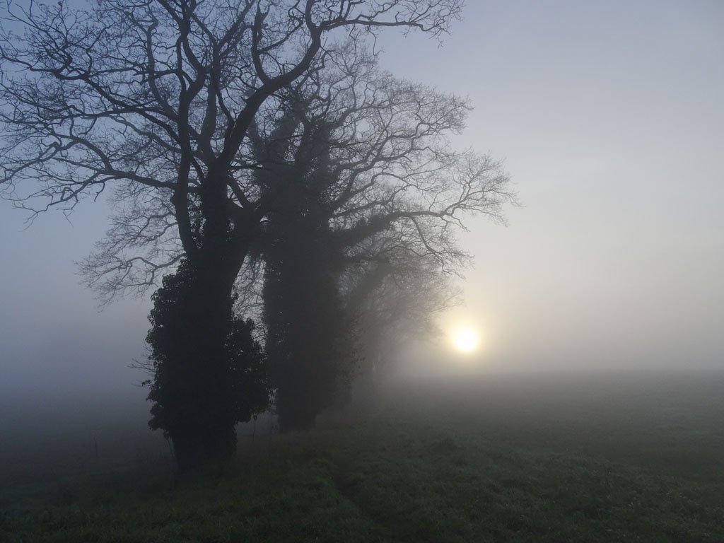 January 2019, Magical Mists