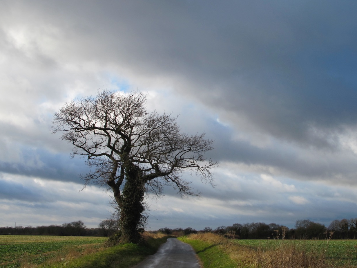 Sparrows Hill in April