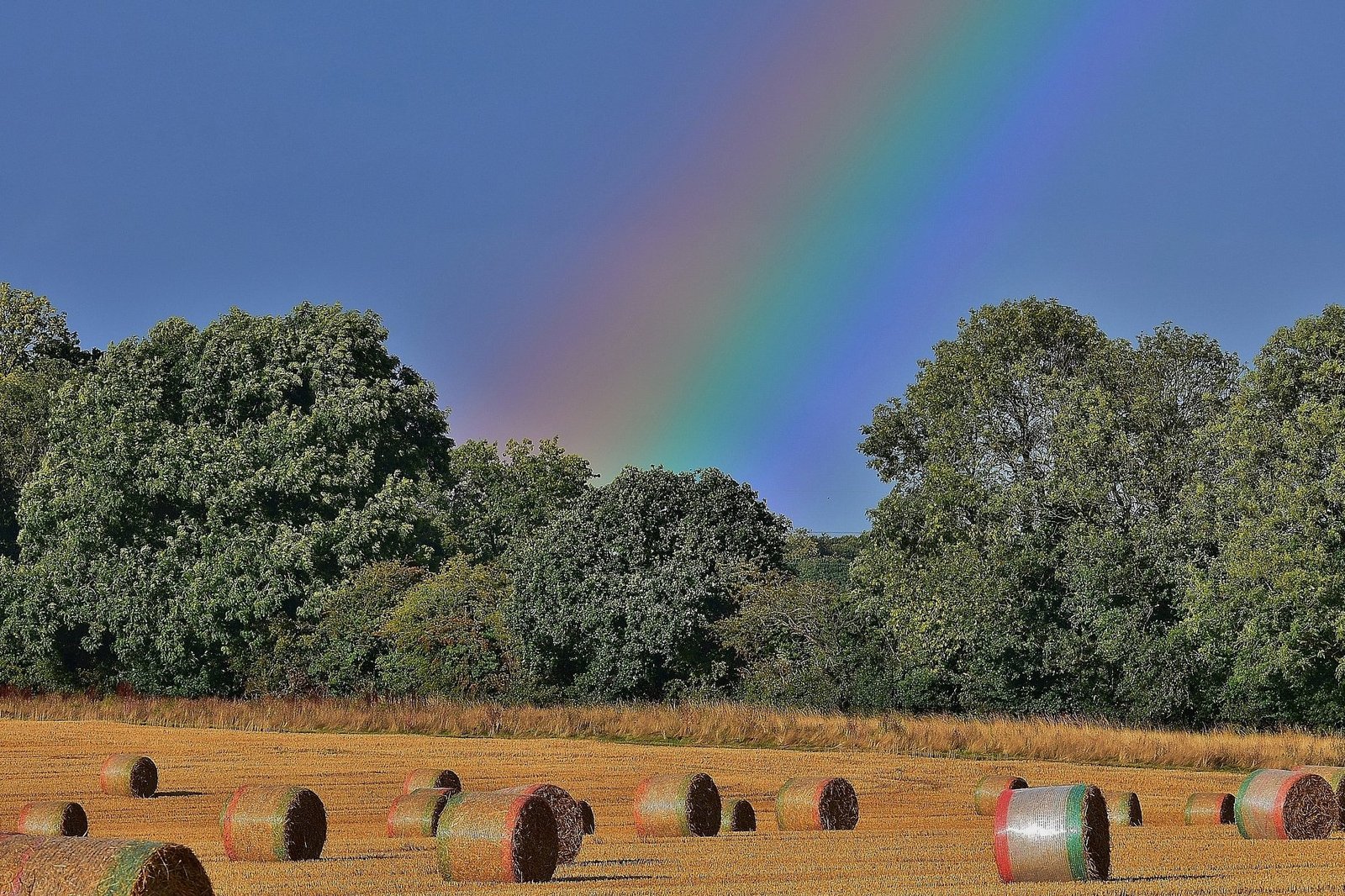 August 2018, Rainbow over the Harvest