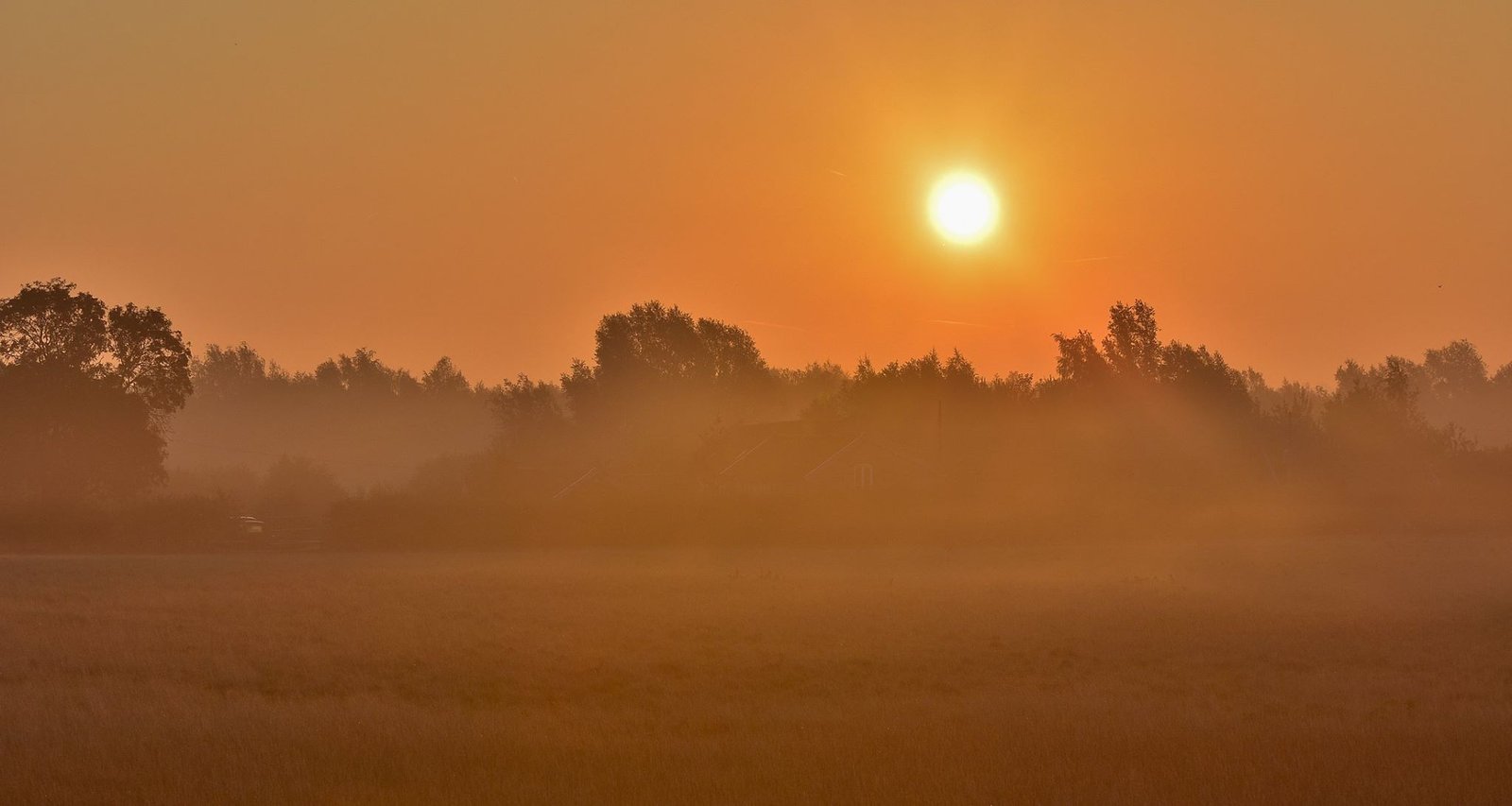 October 2018, Early Morning at Bawburgh Lakes